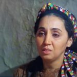 November CinemaZighoud